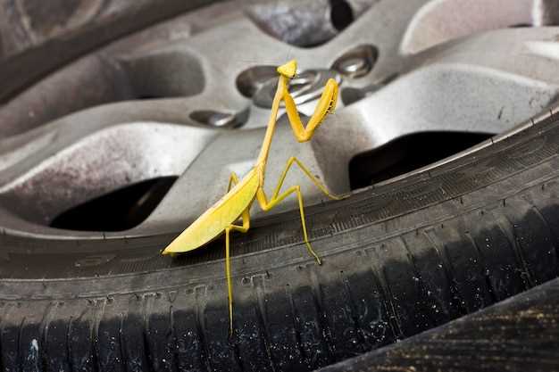 Corrado alignment tips after suspension work