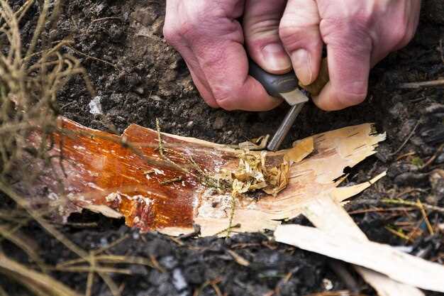 Gather Necessary Tools for Rust Repair